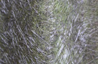 Walpole St Peter fibreglass roof work